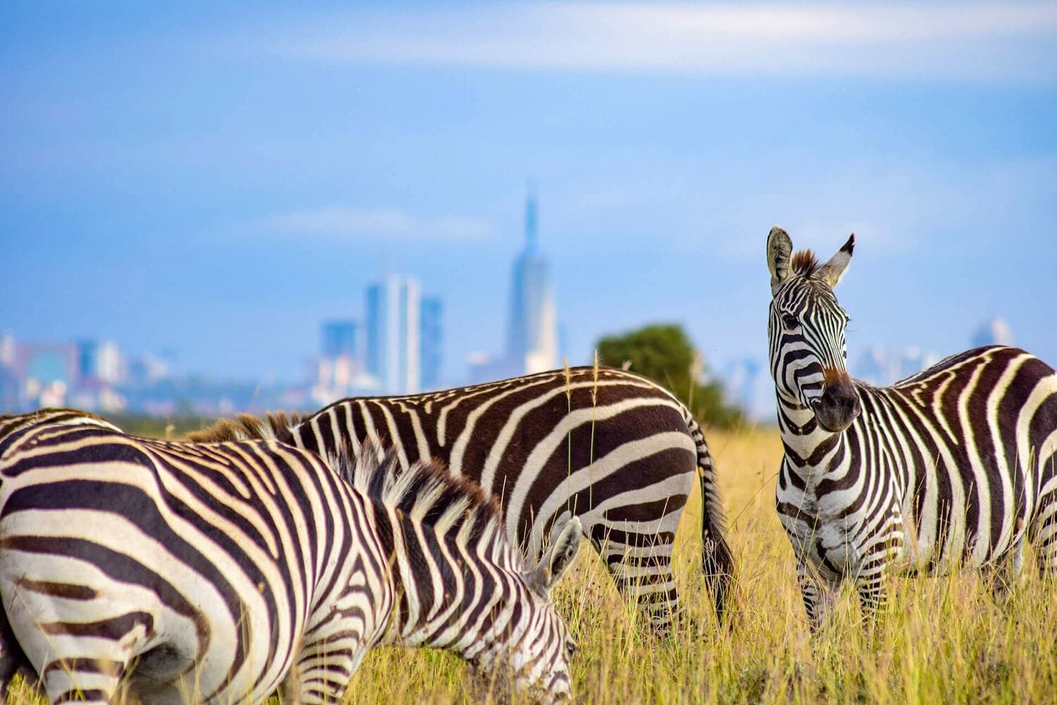 Nairobi